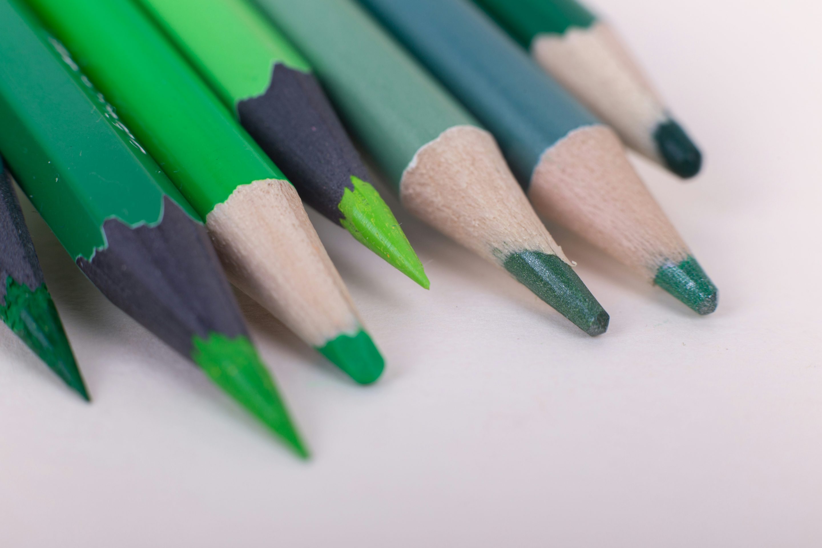 Des crayons de couleur verte